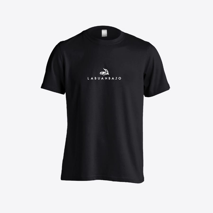 Economics - Why Nations Fail